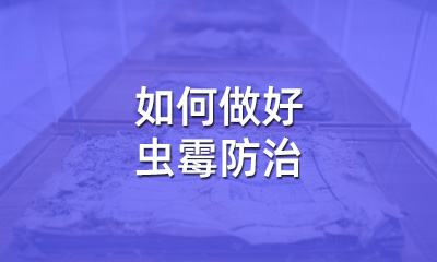 檔案修復(fù)后，如何做好蟲霉防治